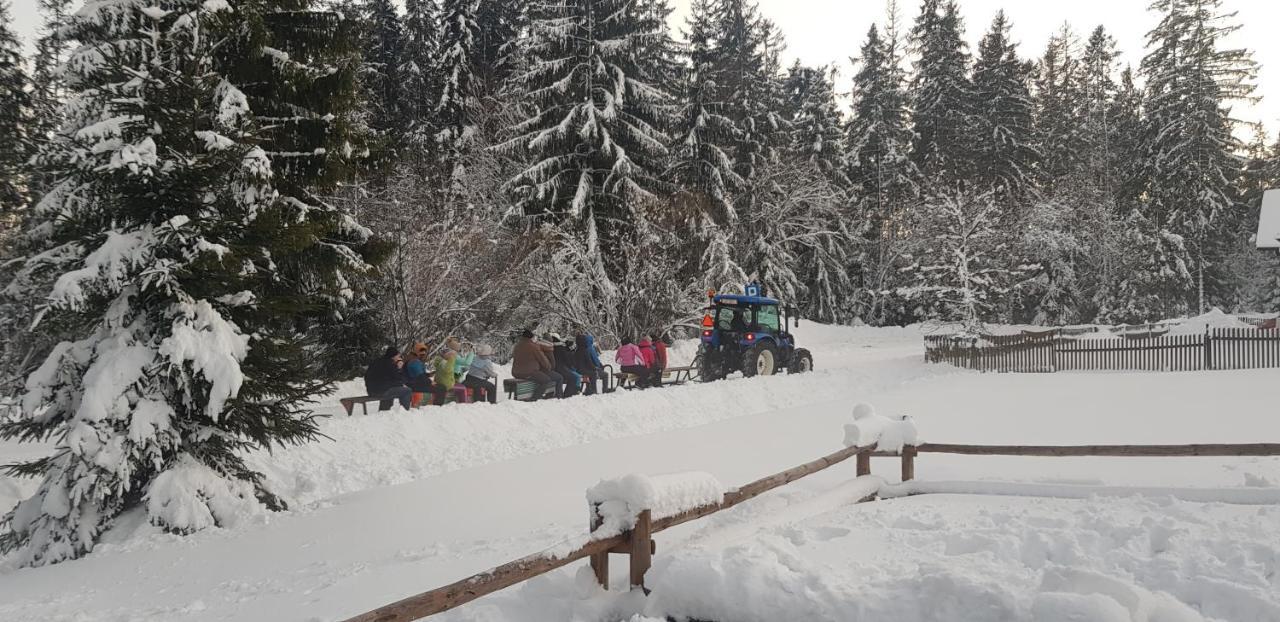 Apartamento U Jedrusia Zubrzyca Gorna Exterior foto